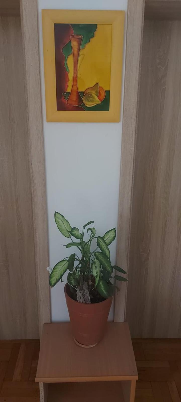 Guest house Hostel Poznan